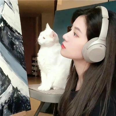 悄然之星